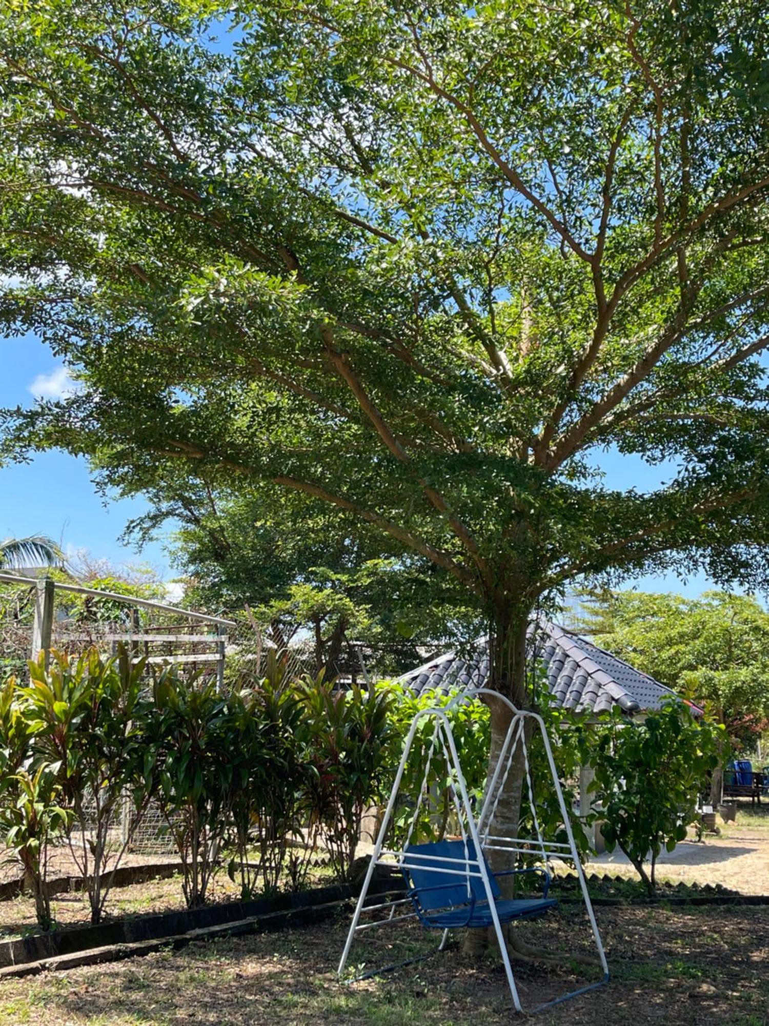 Wans Farm House Kampung Kuala Besut Luaran gambar