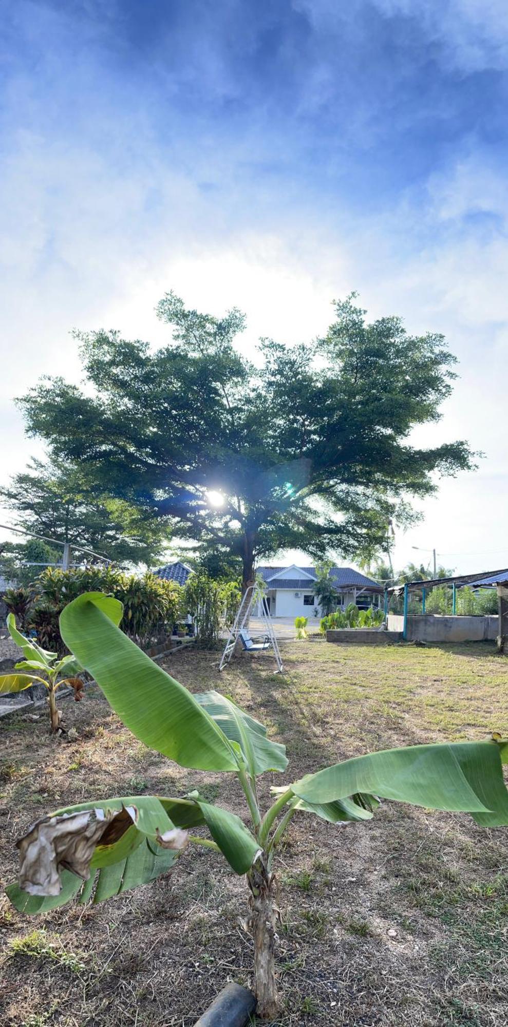 Wans Farm House Kampung Kuala Besut Luaran gambar